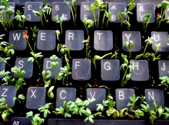 cress growing keyboard
