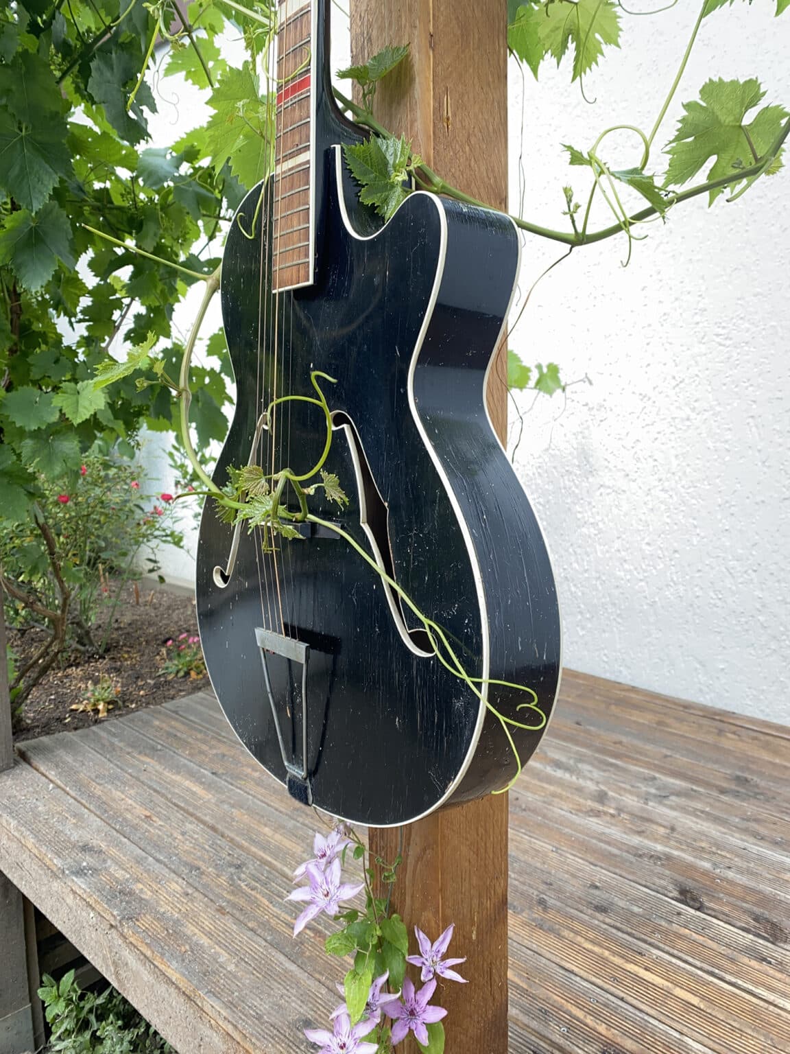 hanging guitar vines