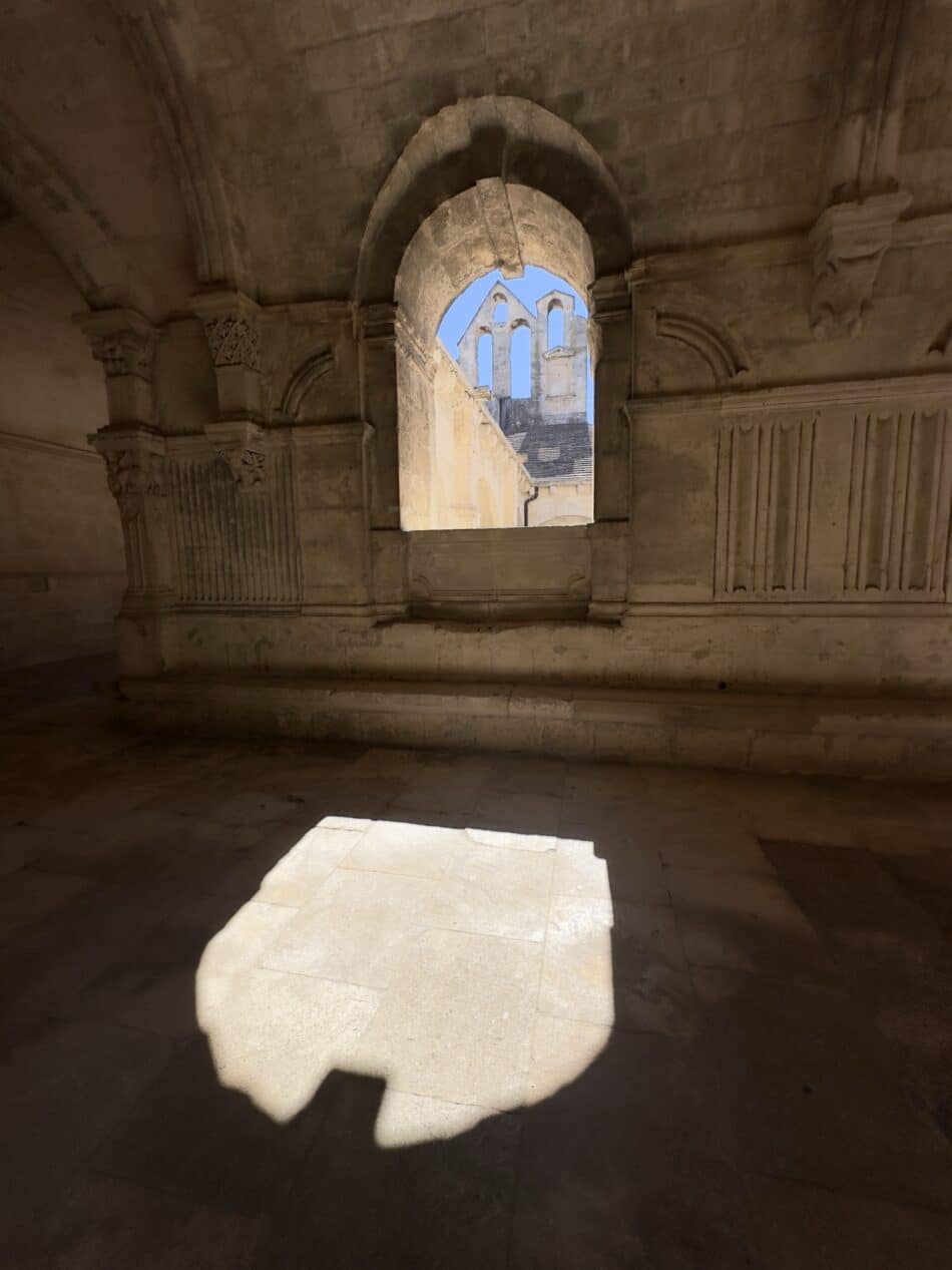 Provençal light in the cloister.